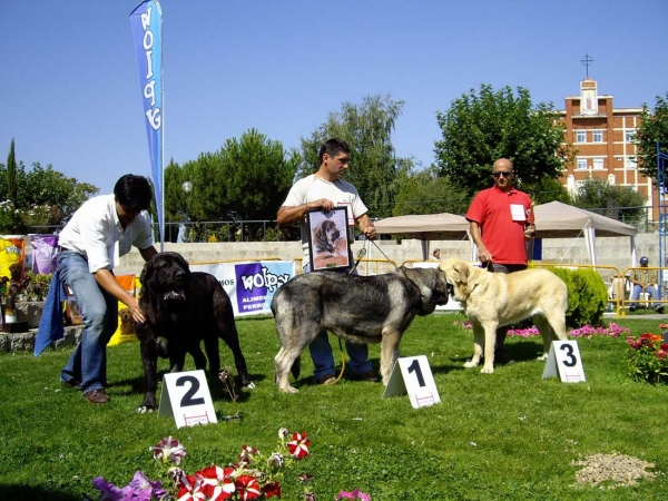 Podium Intermediate Class Females XXVII Monográfica AEPME, 15.09.2007
Keywords: 2007