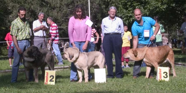 Puppy Class Males - Barrios de Luna, León, Spain 10.09.2006
2.?

1. Ramonet (Ron de Babia x Trufa de´Trashumancia) Born: 28.03.2006 - Breeder: Baltasar Redondo Redondo, owner: Lenka Erbenova

3. ?
 

Keywords: 2006