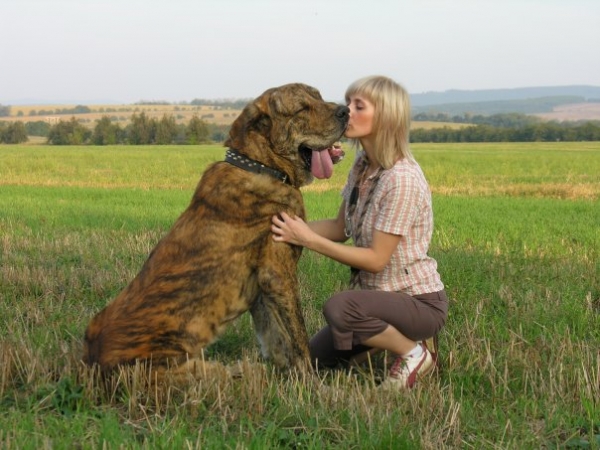 Quentin Tornado Erben - 1 year old
Klíčová slova: bubeliny