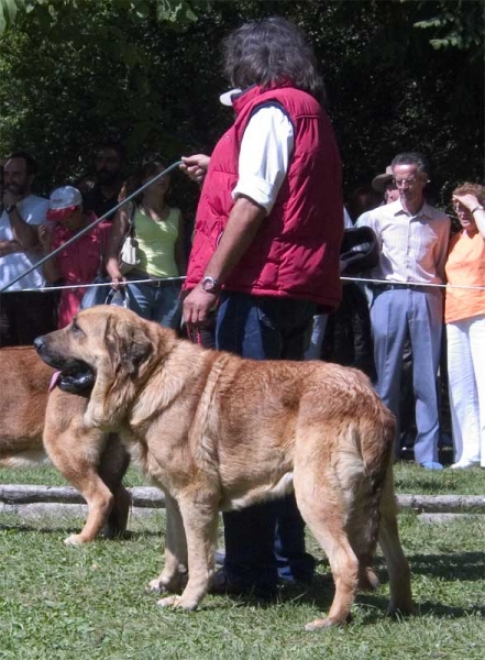 Open Class Males - Barrios de Luna 10.09.2006
Keywords: 2006