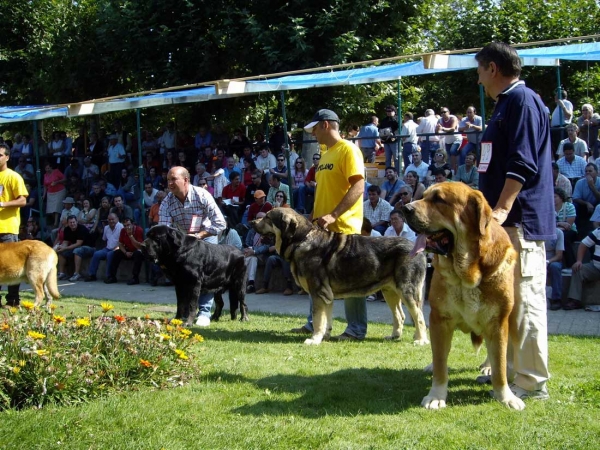 Ring Open Class Males - XXVII Monográfica AEPME, 15.09.2007
Keywords: 2007