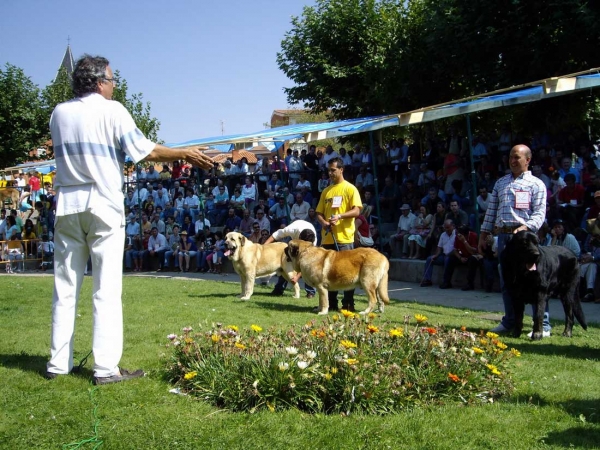 Ring Open Class Males - XXVII Monográfica AEPME, 15.09.2007
Keywords: 2007