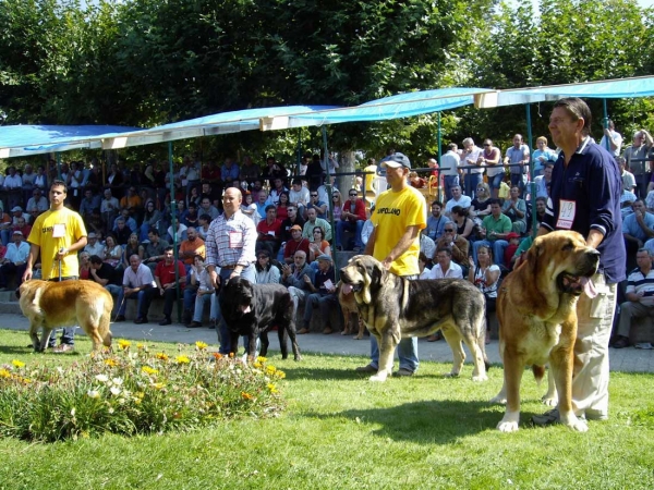 Ring Open Class Males - XXVII Monográfica AEPME, 15.09.2007
Keywords: 2007