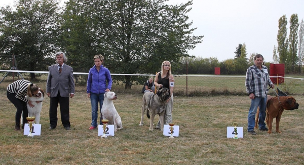 RING BIS - Club dog show KMDPP, Rychety, Czech Republic - 04.10.2015
Keywords: 2015