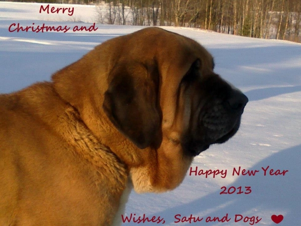 Merry Christmas and Happy New Year 2013 from Satu Isoräsy, Finland
Keywords: satu