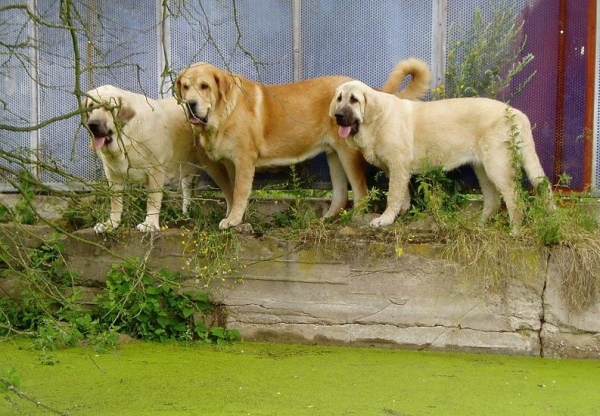 Florita Maja Tornado Erben, Jorgito Tornado Erben, Lois Tornado Erben
Family
Keywords: tornado