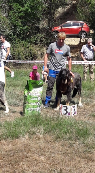 Solana de Autocan: exc 3 intermedia class - Fresno del Camino, León, Spain – 11.08.2019
Keywords: autocan 2019