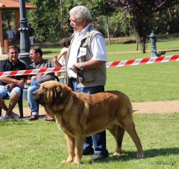 XXXVIII Monográfica Nacional AEPME - Gordoncillo, Leon 08.09.2018
Keywords: 2018 tierraorbigo