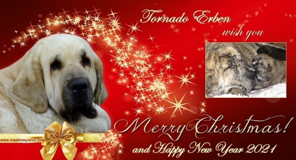 Merry Christmas 2020 and Happy New year 2021 from Tornado Erben
