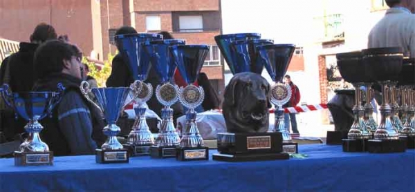 Mesa de Trofeos - Mansilla de las Mulas, Leon, 07.11. 2004
Keywords: 2004