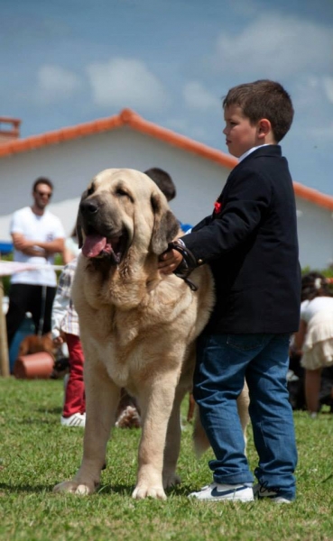 Valle de Pisueña 2016
Keywords: 2016 pisuena