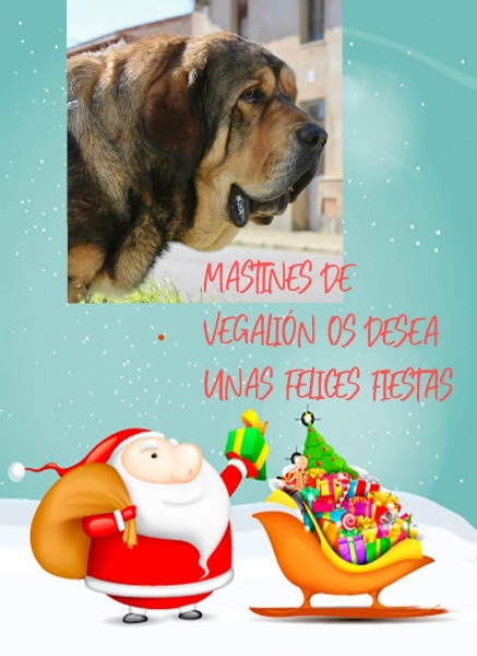 Merry Christmas 2020 from Vegalion
Keywords: vegalion