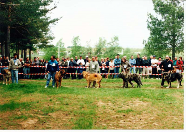 Young Class Males - Camposagrado, León 1999  

 

Keywords: 1999