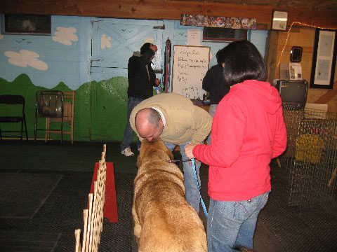  Pete the Trainer saying goodbye to Pacino after the Basic Obedience Class 
(Toro de Montes del Pardo X Isis de Montes del Pardo)   
Born: 15.03.2007
Keywords: norma pacino tatyana deniro brando