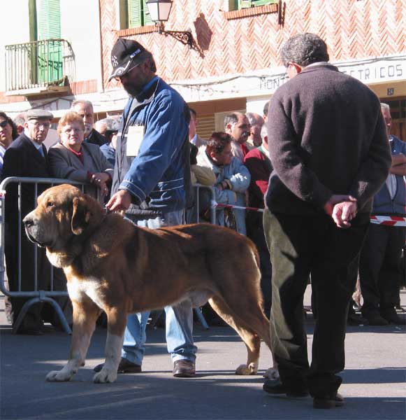 Pecho de la Vicheriza - Mansilla de las Mulas, Leon, 07.11. 2004
Keywords: 2004 vicheriza