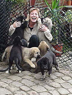 Puppies from Cibine
Keywords: puppy cachorro