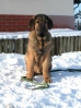 Filename=%3Diso-8859-2QHarry.jpg
Filesize=24KiB
Dimensions=373x498
Date added=%390 %20, %2006 %3Diso-8859-2QHarry.jpg