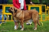 Filename=(181)-Exc.jpg
Filesize=140KiB
Dimensions=1148x765
Date added=%875 %22, %2012 (181)-Exc.jpg