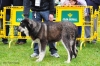 Filename=(43)-MB.jpg
Filesize=153KiB
Dimensions=1148x765
Date added=%819 %22, %2012 (43)-MB.jpg