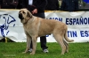 Filename=(66)-MB.jpg
Filesize=117KiB
Dimensions=1148x765
Date added=%829 %22, %2012 (66)-MB.jpg