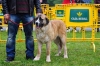 Filename=(81)-MB.jpg
Filesize=148KiB
Dimensions=1148x765
Date added=%840 %22, %2012 (81)-MB.jpg