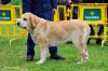 Filename=(87)-MB.jpg
Filesize=150KiB
Dimensions=1148x765
Date added=%839 %22, %2012 (87)-MB.jpg