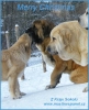 Filename=,aj,a.jpg
Filesize=61KiB
Dimensions=600x732
Date added=%740 %20, %2010 ,aj,a.jpg