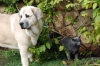Filename=× ×™× ×˜-ומייקל.jpg
Filesize=191KiB
Dimensions=1500x1004
Date added=%732 %29, %2008 × ×™× ×˜-ומייקל.jpg
