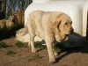 Filename=Única.jpg
Filesize=103KiB
Dimensions=1200x900
Date added=%809 %27, %2012 Única.jpg