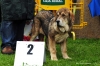 Filename=-(15)MB2ª.jpg
Filesize=119KiB
Dimensions=1148x765
Date added=%805 %22, %2012 -(15)MB2ª.jpg
