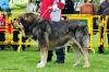 Filename=-(154)-Exc2º.jpg
Filesize=152KiB
Dimensions=1148x765
Date added=%897 %22, %2012 -(154)-Exc2º.jpg