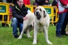 Filename=-(183)-Exc5ª.jpg
Filesize=143KiB
Dimensions=1148x765
Date added=%876 %22, %2012 -(183)-Exc5ª.jpg