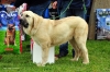 Filename=-(42)MB3ª.jpg
Filesize=137KiB
Dimensions=1148x765
Date added=%820 %22, %2012 -(42)MB3ª.jpg