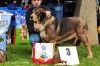 Filename=-(84)Exc3ª.jpg
Filesize=155KiB
Dimensions=1148x765
Date added=%843 %22, %2012 -(84)Exc3ª.jpg
