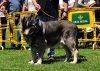 Filename=-2º-Wilki-BM.jpg
Filesize=224KiB
Dimensions=1340x964
Date added=%802 %20, %2013 -2º-Wilki-BM.jpg