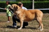 Filename=-Exc-1ª-Bimba-Autocan.jpg
Filesize=181KiB
Dimensions=1109x737
Date added=%566 %21, %2011 -Exc-1ª-Bimba-Autocan.jpg