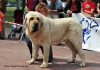 Filename=-Exc-1ºBIS-(2).jpg
Filesize=108KiB
Dimensions=1003x709
Date added=%889 %13, %2011 -Exc-1ºBIS-(2).jpg