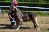Filename=-Exc-2º-Wilky-B-M.jpg
Filesize=211KiB
Dimensions=1109x737
Date added=%577 %21, %2011 -Exc-2º-Wilky-B-M.jpg
