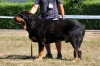 Filename=-Exc-3º-Bostom-T-O.jpg
Filesize=163KiB
Dimensions=1109x737
Date added=%576 %21, %2011 -Exc-3º-Bostom-T-O.jpg