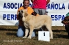 Filename=-MB1º-MC-Pegaso-B--la-M-(2).jpg
Filesize=137KiB
Dimensions=1108x737
Date added=%956 %20, %2011 -MB1º-MC-Pegaso-B--la-M-(2).jpg