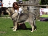 Filename=-MB3ª-Dina-M-Pardo.jpg
Filesize=149KiB
Dimensions=1058x794
Date added=%657 %12, %2014 -MB3ª-Dina-M-Pardo.jpg