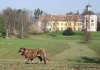 Filename=00.jpg
Filesize=78KiB
Dimensions=645x454
Date added=%609 %01, %2007 00.jpg
