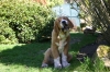 Filename=0001_con_tres_meses.jpg
Filesize=381KiB
Dimensions=1600x1067
Date added=%818 %17, %2009 0001_con_tres_meses.jpg