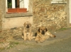 Filename=020.jpg
Filesize=121KiB
Dimensions=551x413
Date added=%545 %01, %2008 020.jpg