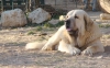 Filename=021.jpg
Filesize=128KiB
Dimensions=1200x749
Date added=%825 %03, %2012 021.jpg