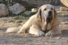 Filename=025.jpg
Filesize=168KiB
Dimensions=1200x795
Date added=%824 %03, %2012 025.jpg