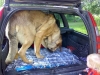 Filename=0507i_love_car.jpg
Filesize=55KiB
Dimensions=640x480
Date added=%402 %06, %2008 0507i_love_car.jpg