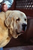 Filename=08900003.jpg
Filesize=31KiB
Dimensions=424x640
Date added=%826 %03, %2007 08900003.jpg