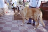 Filename=08900007.jpg
Filesize=42KiB
Dimensions=640x424
Date added=%824 %03, %2007 08900007.jpg