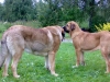 Filename=09082008d_b.jpg
Filesize=50KiB
Dimensions=640x480
Date added=%829 %10, %2008 09082008d_b.jpg